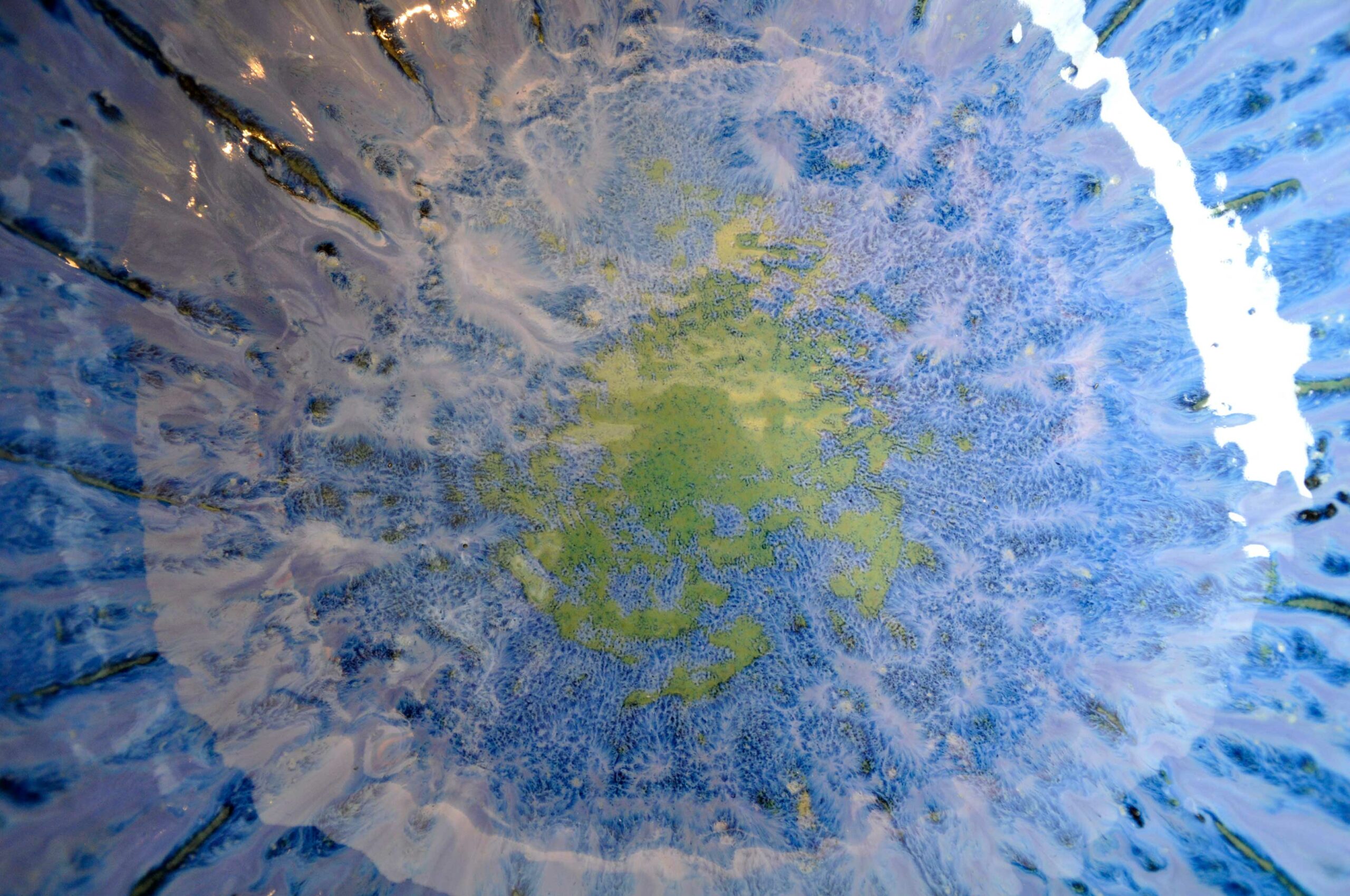 Grande Coquille Iris - Pièce unique en céramique - L 39 cm x P 35 cm x h 20 cm